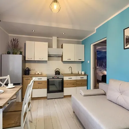 Apartamenty U Romana Tylicz Exterior photo